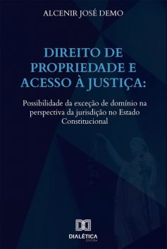 Direito de propriedade e acesso à justiça, Alcenir José Demo