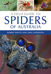 A Field Guide to Spiders of Australia, Greg Anderson, Robert Whyte