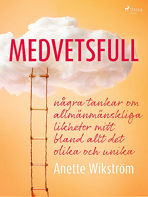 Medvetsfull: några tankar om allmänmänskliga likheter mitt bland allt det olika och unika, Anette Wikström