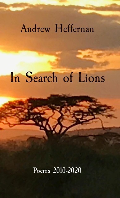 In Search of Lions, Andrew Heffernan
