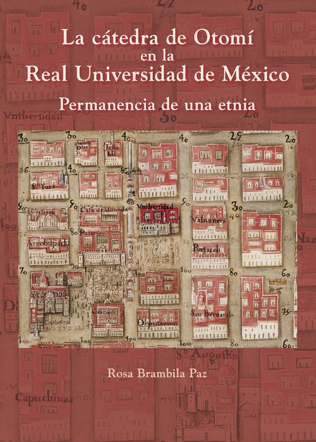 La cátedra de Otomí en la Real Universidad de México, Rosa Brambila Paz