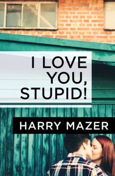 I Love You, Stupid, Harry Mazer