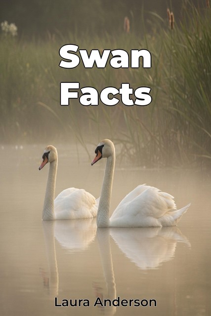 Swan Facts, Laura Anderson