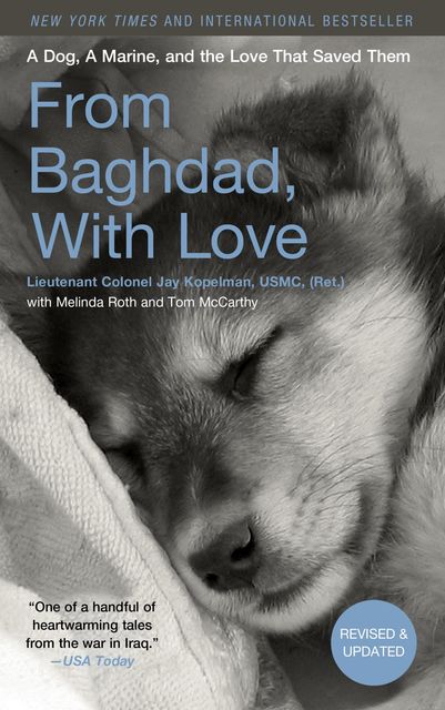 From Baghdad, With Love, Tom McCarthy, Jay Kopelman, Melinda Roth