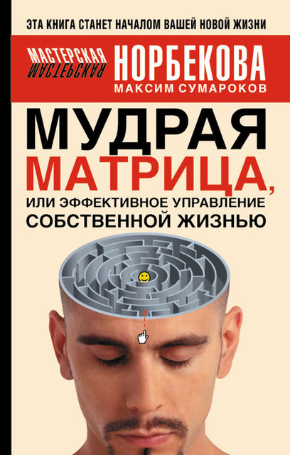 Мудрая матрица, или Эффективное управление собственной жизнью, Максим Сумароков
