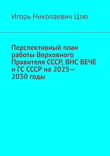 Перспективный план работы Верховного Правителя СССР, ВНС ВЕЧЕ и ГС СССР на 2025—2030 годы, Игорь Цзю