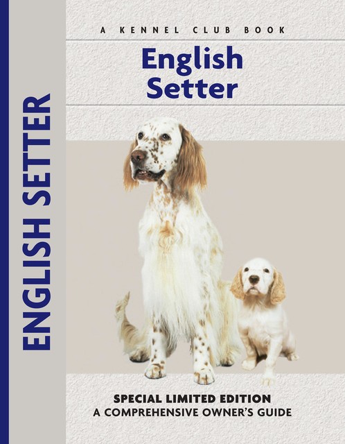 English Setter, Juliette Cunliffe