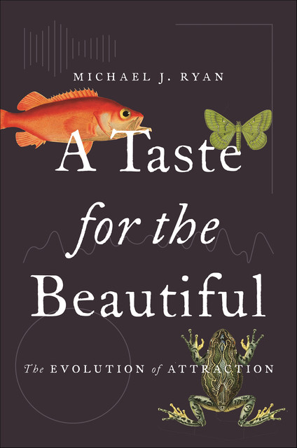 A Taste for the Beautiful: The Evolution of Attraction, Michael J.Ryan