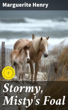 Stormy, Misty's Foal, Marguerite Henry