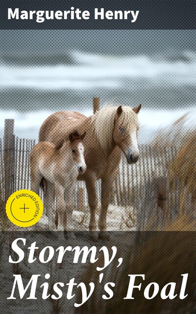 Stormy, Misty's Foal, Marguerite Henry