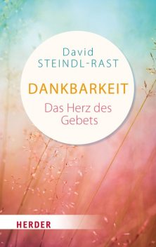 Fülle und Nichts, David Steindl-Rast