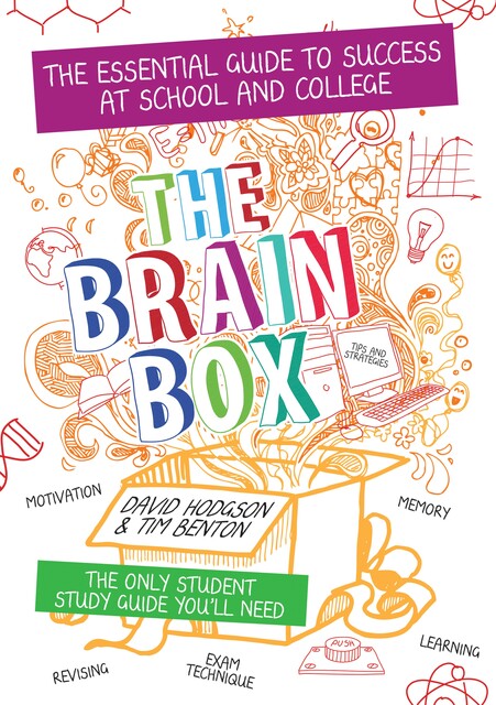 The Brain Box, David Hodgson