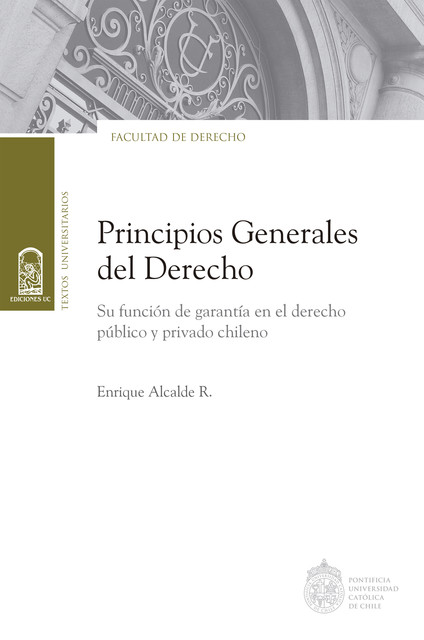 Principios generales del Derecho, Enrique Alcalde R.
