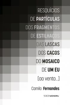 Resquícios de partículas dos fragmentos de estilhaços das lascas dos cacos do mosaico de um eu, Camilo Fernandes