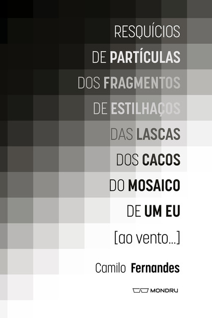 Resquícios de partículas dos fragmentos de estilhaços das lascas dos cacos do mosaico de um eu, Camilo Fernandes