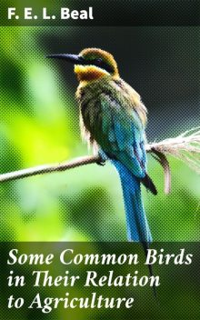 Some Common Birds in Their Relation to Agriculture, F.E.L.Beal