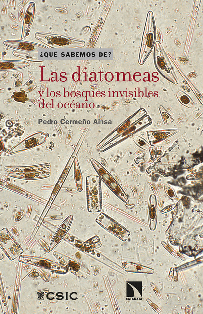 Las diatomeas y los bosques invisibles del océano, Pedro Cermeño Aínsa