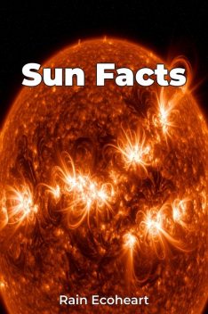 Sun Facts, Rain Ecoheart