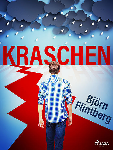 Kraschen : en bok om kriser, konkurser och andra baksidor av entreprenörskap, Björn Flintberg