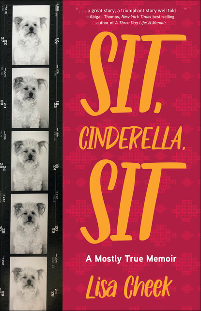 Sit, Cinderella, Sit, Lisa Cheek
