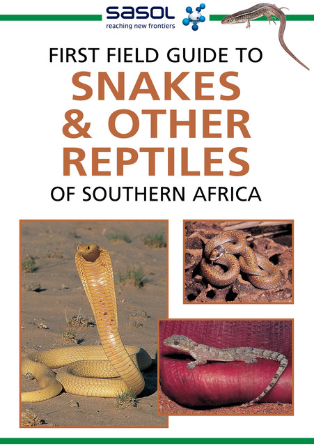 First Field Guide to Snakes & other Reptiles of Southern Africa, Tracey Hawthorne