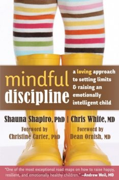 Mindful Discipline, Shapiro, Dean, White, Carter, Chris Entwistle, Christine, Ornish, Shauna