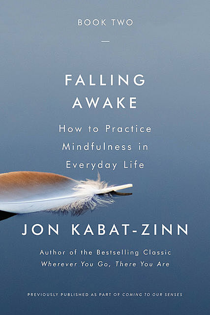 Falling Awake, Jon Kabat-Zinn