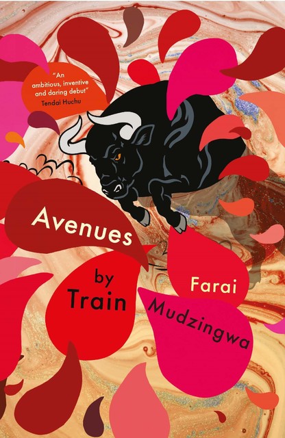 Avenues by Train, Farai Mudzingwa