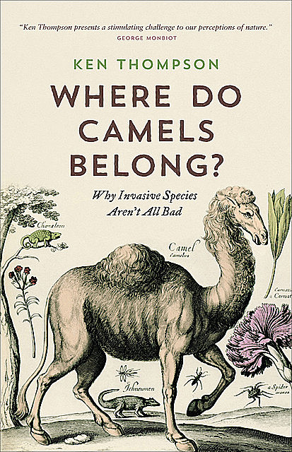 Where Do Camels Belong?, Ken Thompson