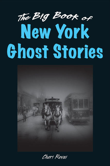 Big Book of New York Ghost Stories, Cheri Revai