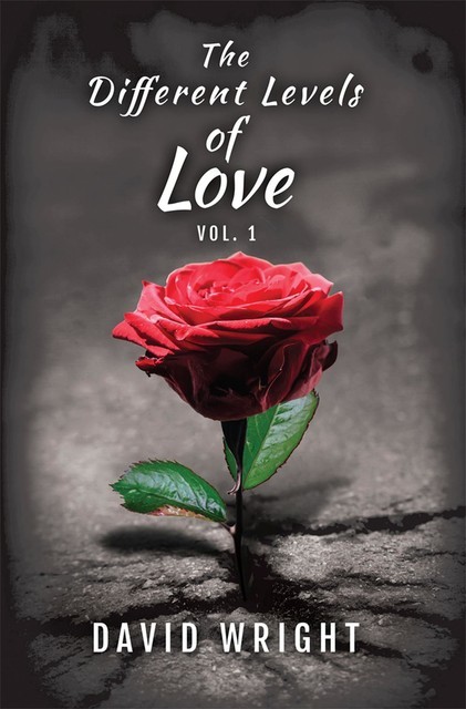 The Different Levels of Love, Volume 1, David Wright