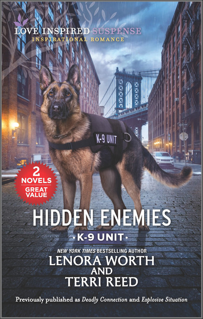 Hidden Enemies, Lenora Worth, Terri Reed