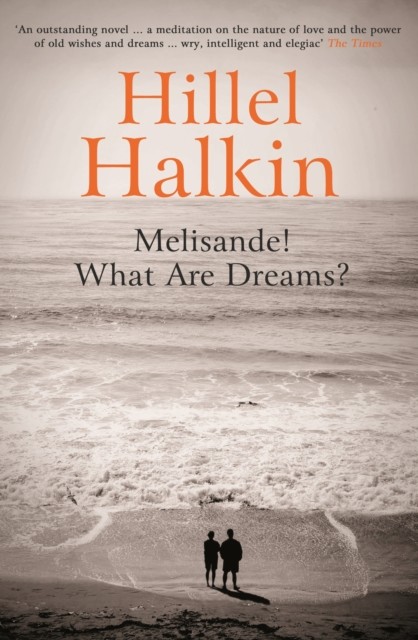 Melisande! What Are Dreams, Hillel Halkin