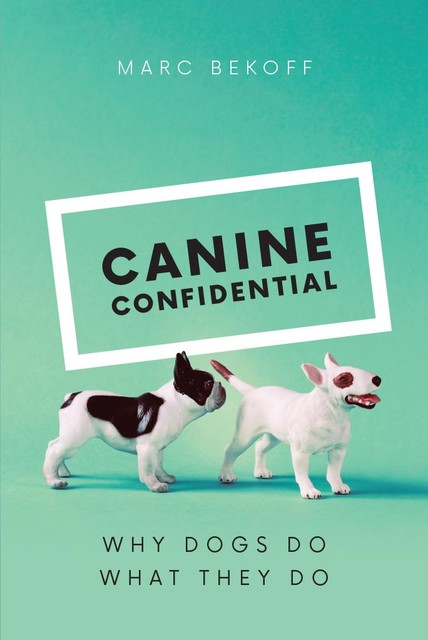 Canine Confidential, Marc Bekoff