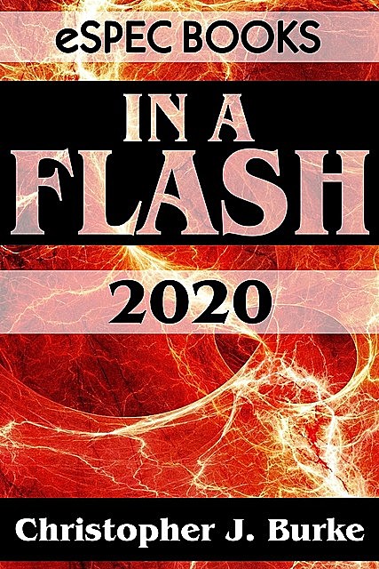 In a Flash 2020, Christopher Burke
