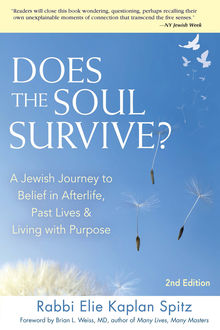 Does the Soul Survive? 2nd Edition, Rabbi Elie Kaplan Spitz
