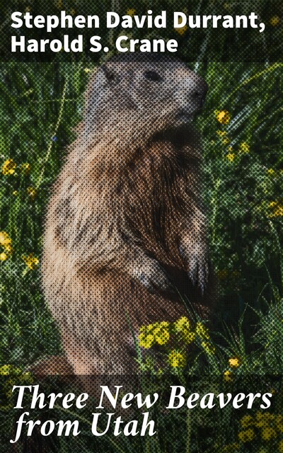 Three New Beavers from Utah, Stephen Durrant, Harold S. Crane