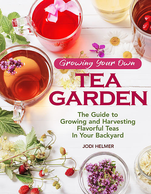 Growing Your Own Tea Garden, Jodi Helmer