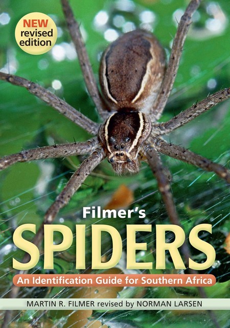 Filmer's Spiders, Martin R Filmer