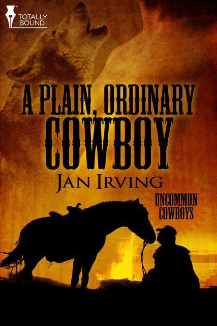 A Plain, Ordinary Cowboy, Jan Irving