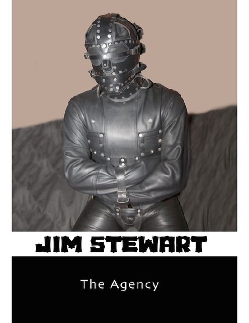 The Agency, Jim Stewart