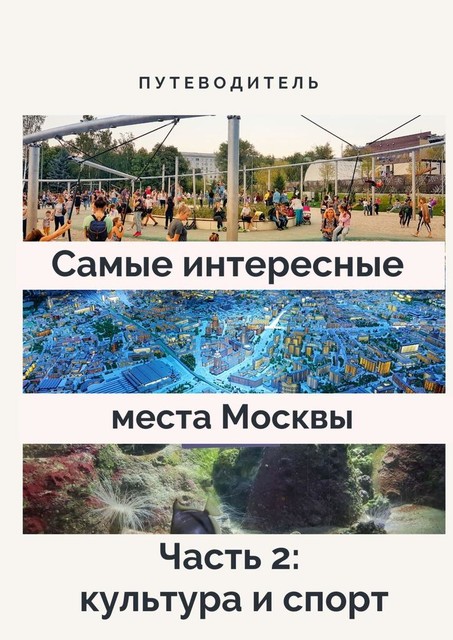 Самые интересные места Москвы. Часть 2: культура и спорт, Анатолий Верчинский