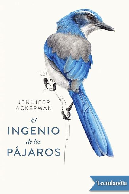 El ingenio de los pájaros, Jennifer Ackerman
