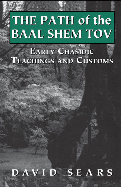 Path of the Baal Shem Tov, David Sears