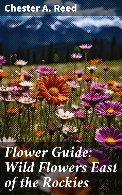 Flower Guide: Wild Flowers East of the Rockies (Revised and with New Illustrations), Chester A.Reed
