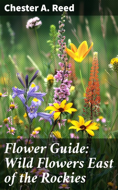 Flower Guide: Wild Flowers East of the Rockies (Revised and with New Illustrations), Chester A.Reed