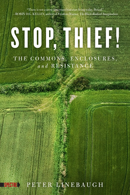 Stop, Thief!: The Commons, Enclosures, and Resistance, Peter Linebaugh