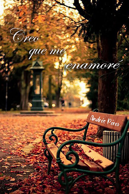 Creo que me enamoré, Andres Perez