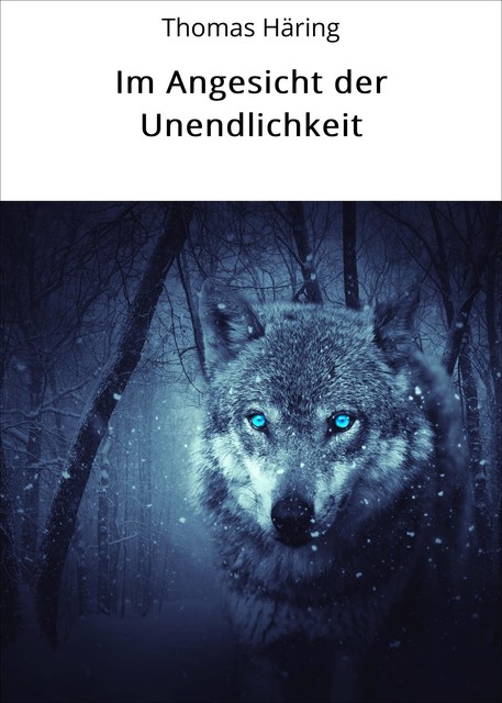 Im Angesicht der Unendlichkeit, Thomas Häring