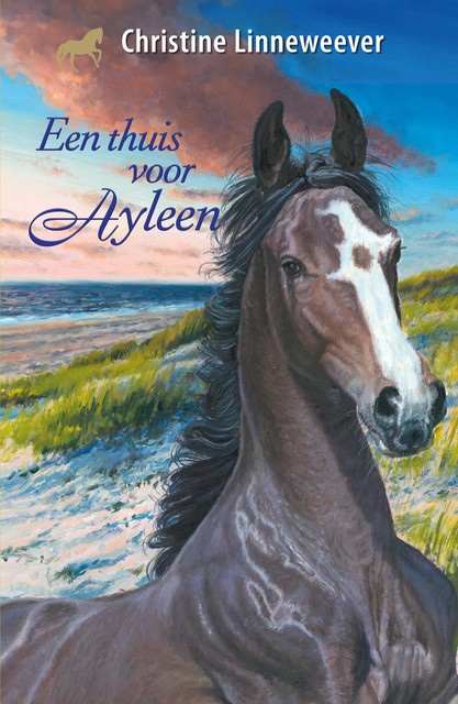Een thuis voor Ayleen, Christine Linneweever